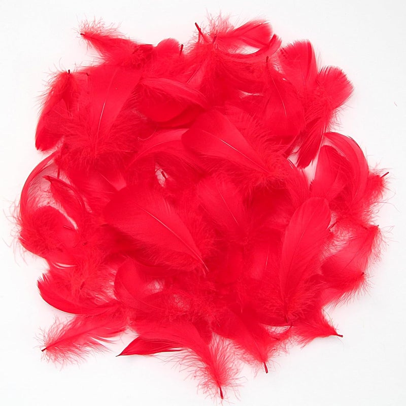 Lamar Feather 300pcs Red Feathers 2-3 Inches Bulk Feathers for Crafting, Dream Catcher Accessories, Art Projects, DIY Crafting, Handi Crafts, Party Decoration (Red) - Image 4